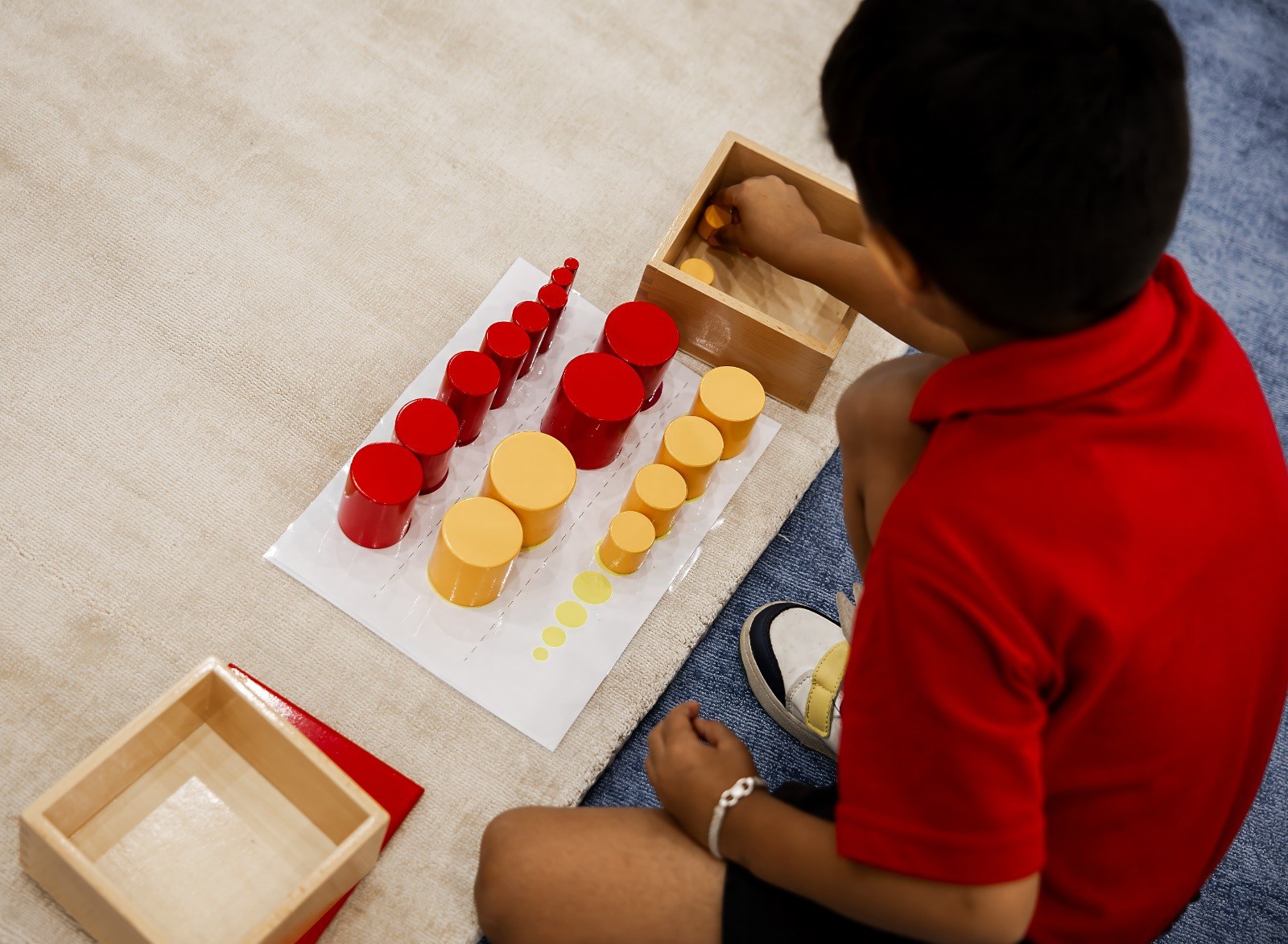 A colour grading material with wooden discs on a stand