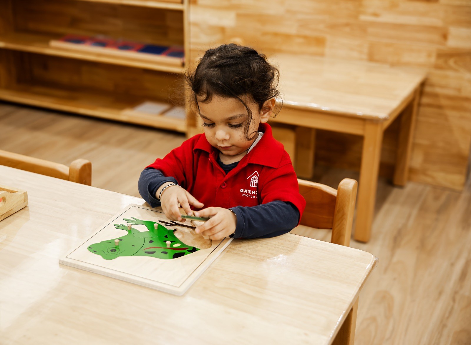 A child placing a leaf onto a nature sorting tray