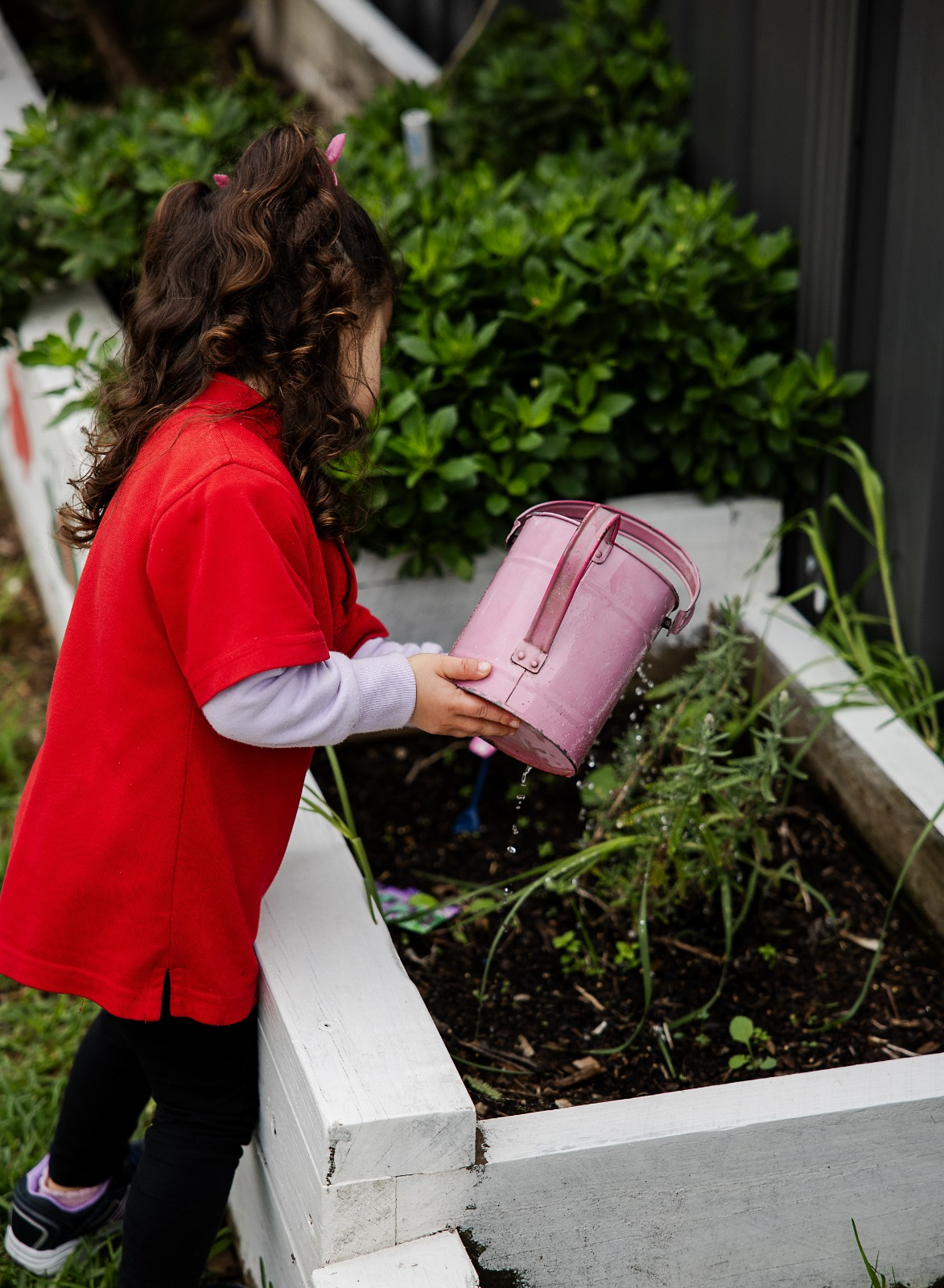 Child watering the garden outdoors