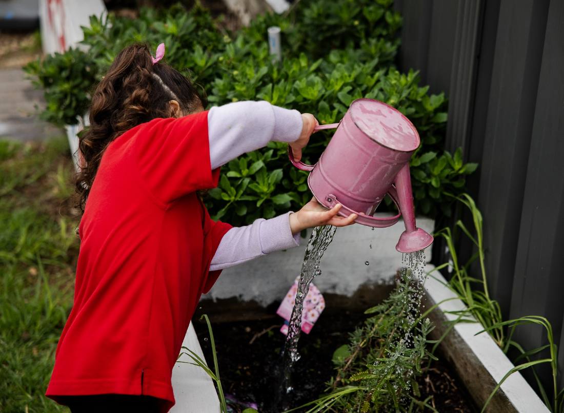Child pouring water from a pink watering can onto plants
