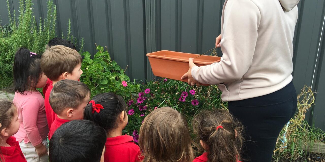 Finding Best Childcare Near Me is No Longer Hectic When Montessori at Gatehouse in Hope Valley Stands Out